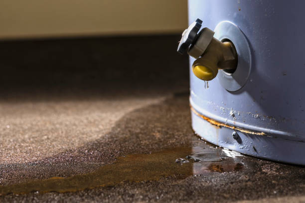 Best Basement water damage restoration  in Pleasant Valley, MO