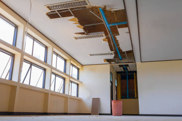 Best Local water damage restoration  in Pleasant Valley, MO