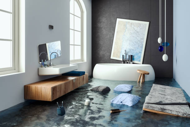 Best Local water damage restoration  in Pleasant Valley, MO