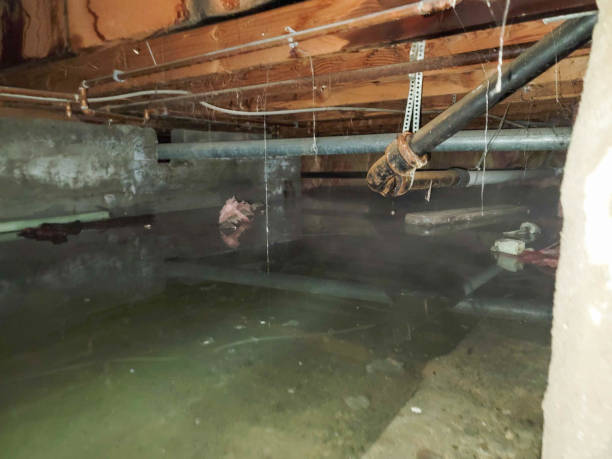 Best Water damage restoration near me  in Pleasant Valley, MO