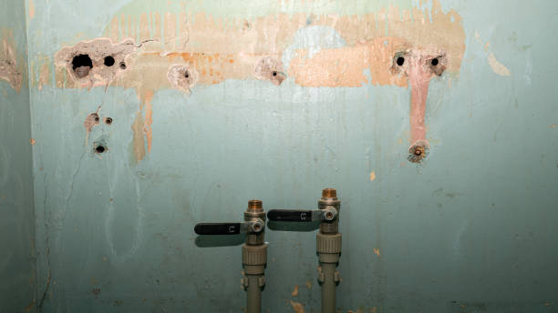 Carpet water damage restoration in Pleasant Valley, MO