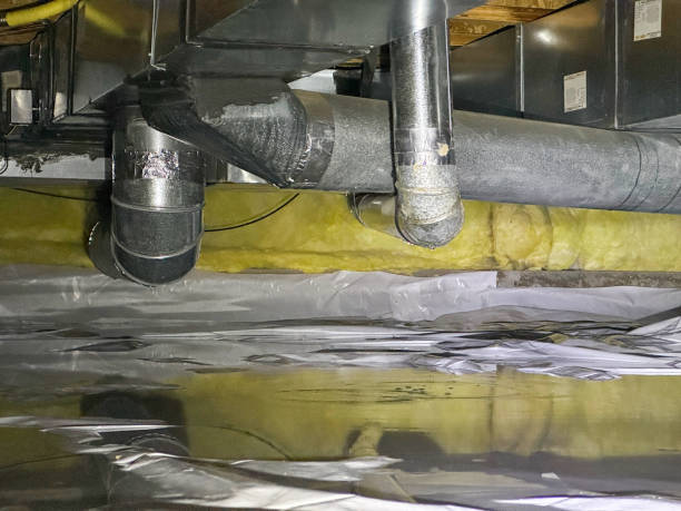 Best Basement water damage restoration  in Pleasant Valley, MO