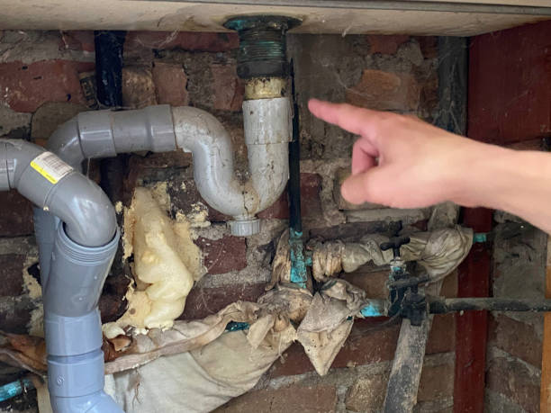 Best Flood restoration services  in Pleasant Valley, MO