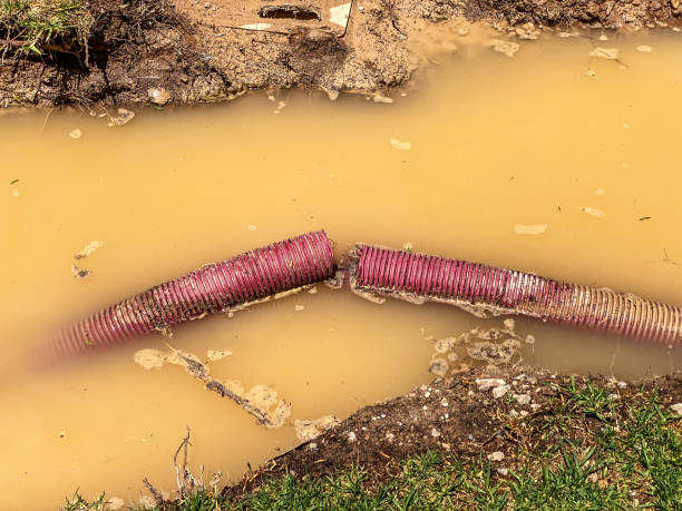 Best Water damage restoration near me  in Pleasant Valley, MO